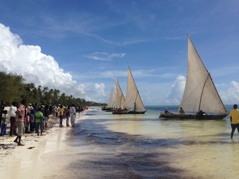 dhow race start in Matemwe beach Zanzibar