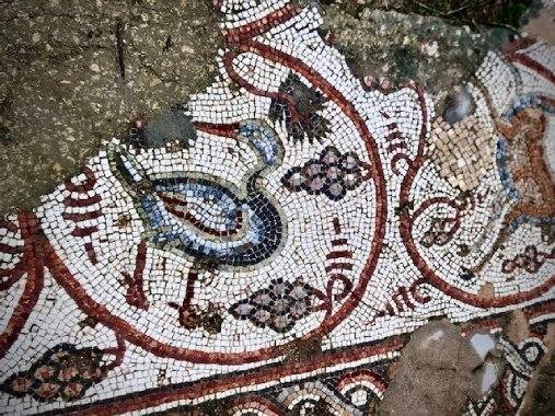 piece of mosaic floor representing a duck, in Jerash