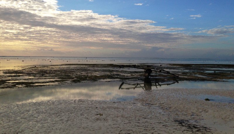 sunset on Tanzania coast at low tide