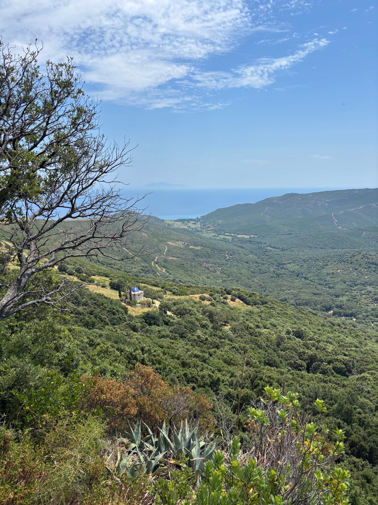Wandering into the Past: The Lost Watermills of Mitile